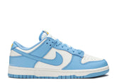 Nike Dunk Low Coast (Mirror)