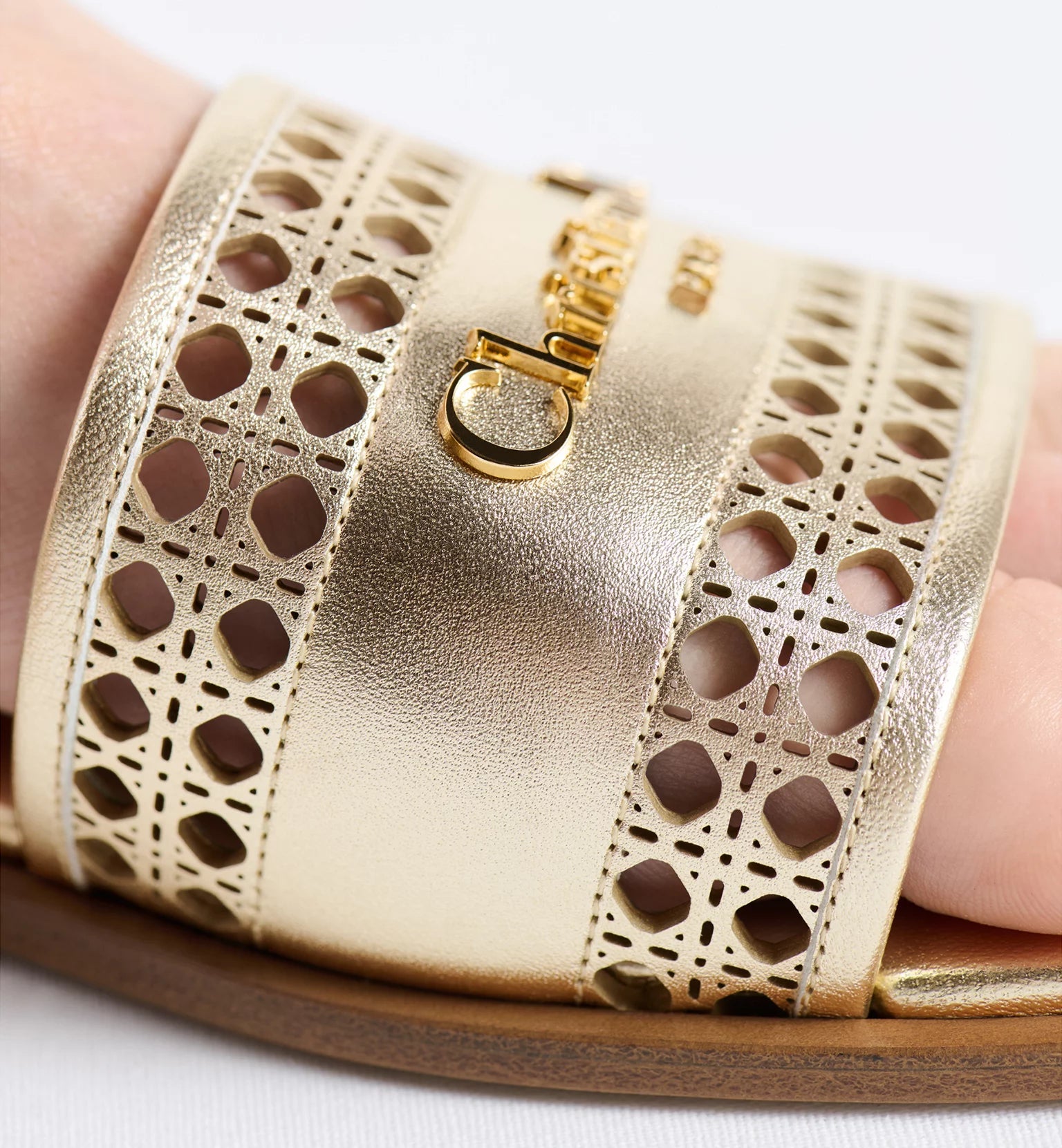 Dior Or D-Lane Slide Gold-Tone Openwork Microcannage Laminated Calfskin