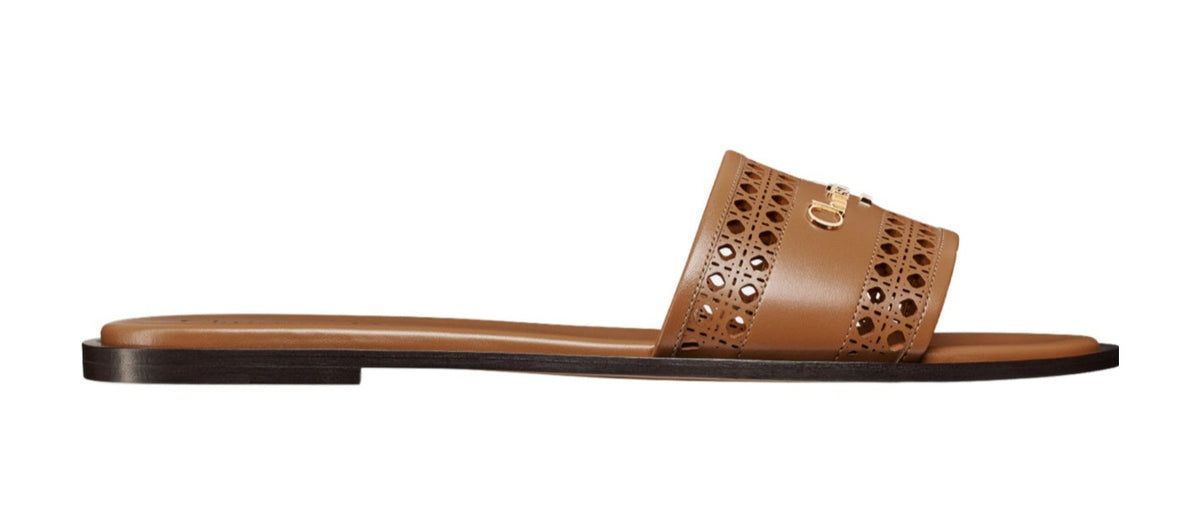 Dior D-lane Sandals In Brown